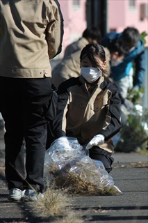 (画像：歩道の草刈り1)