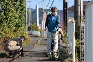 (画像：歩道の草刈り2)